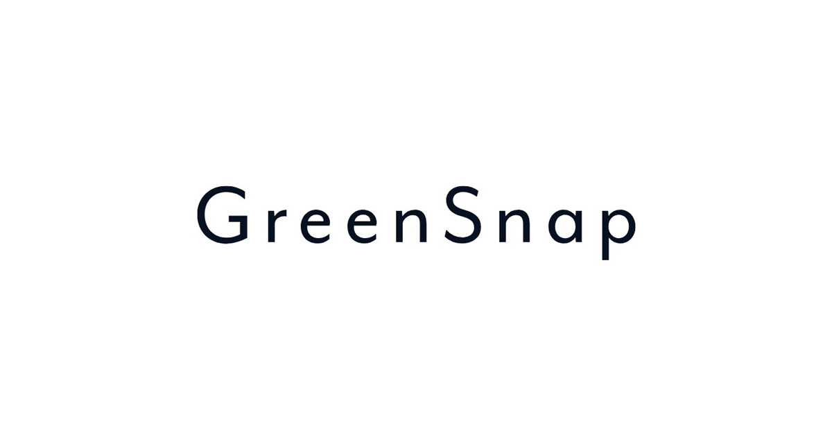 GreenSnap転職のための採用・求人情報、代表の西田貴一さんについてまとめました